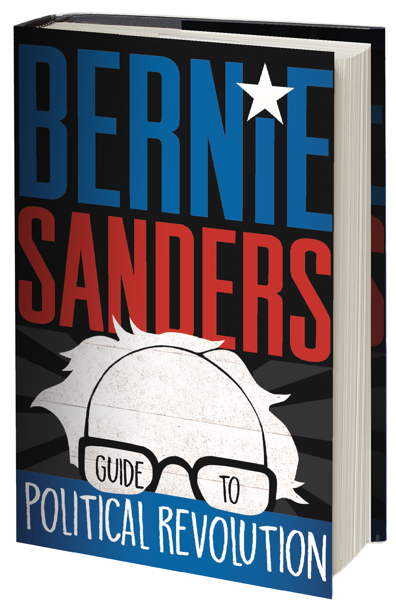 Bernie-Sanders-3D-book