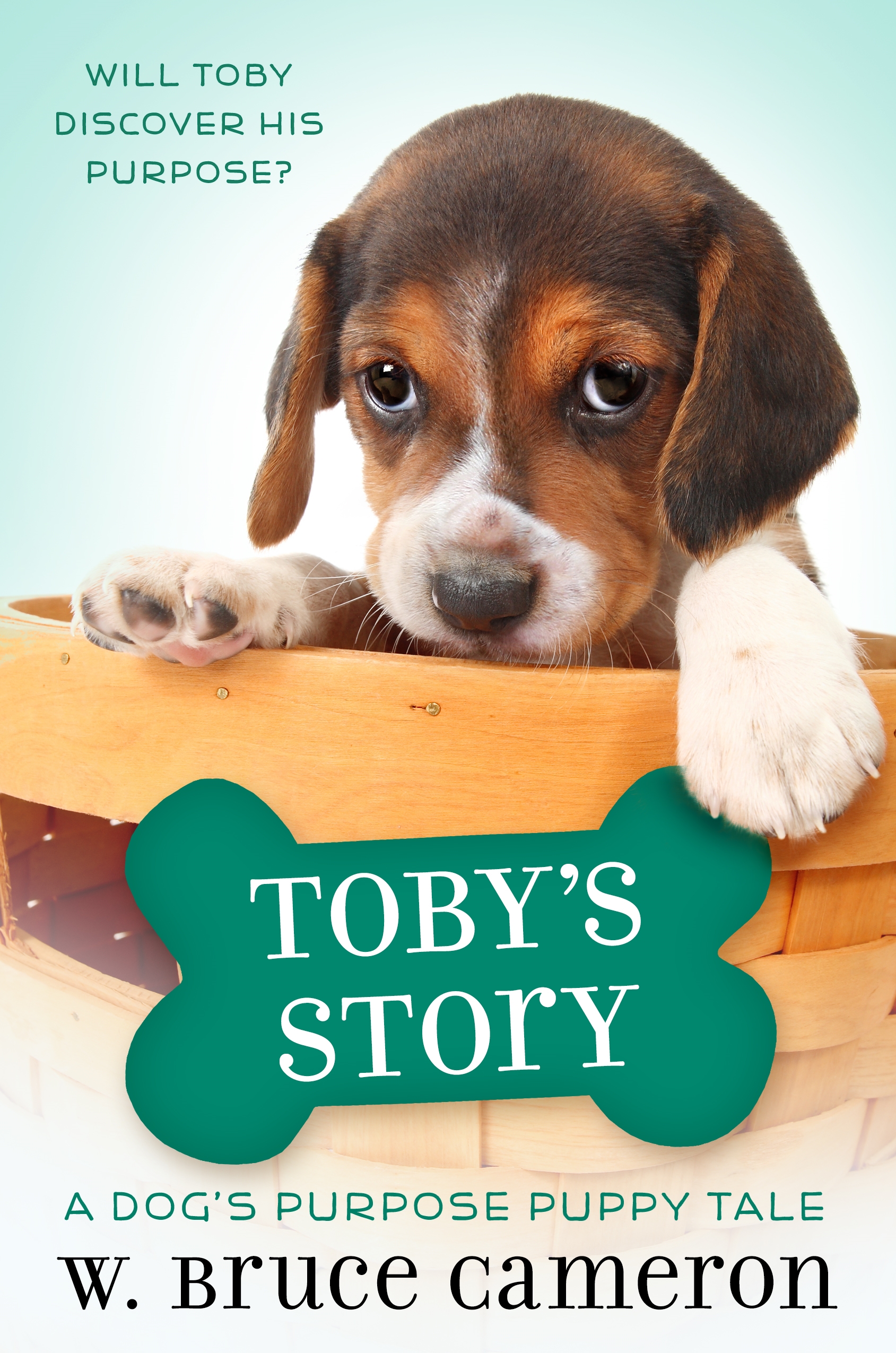 9780765394989_FC Toby's Story