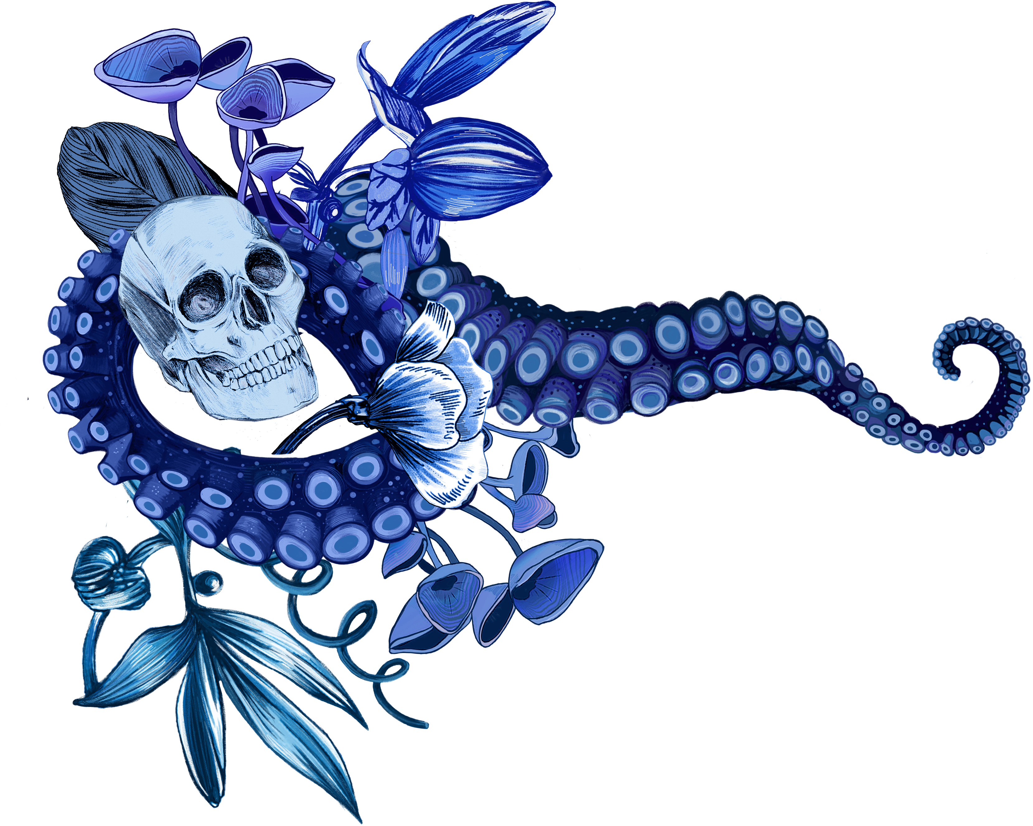 SKULL Corner SKULL Corner