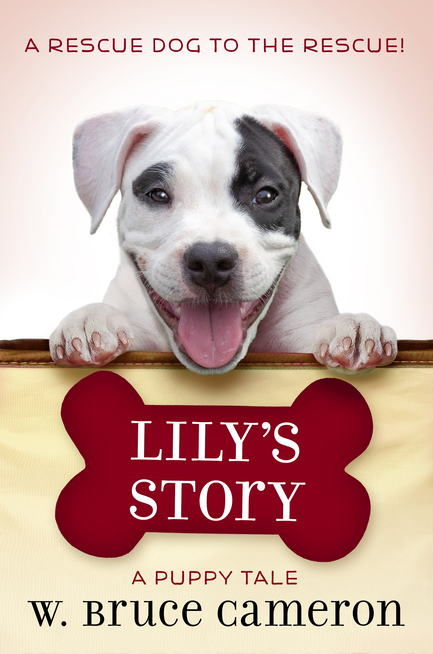 Puppy Tales Series Lily's Story and Bailey's Story Macmillan