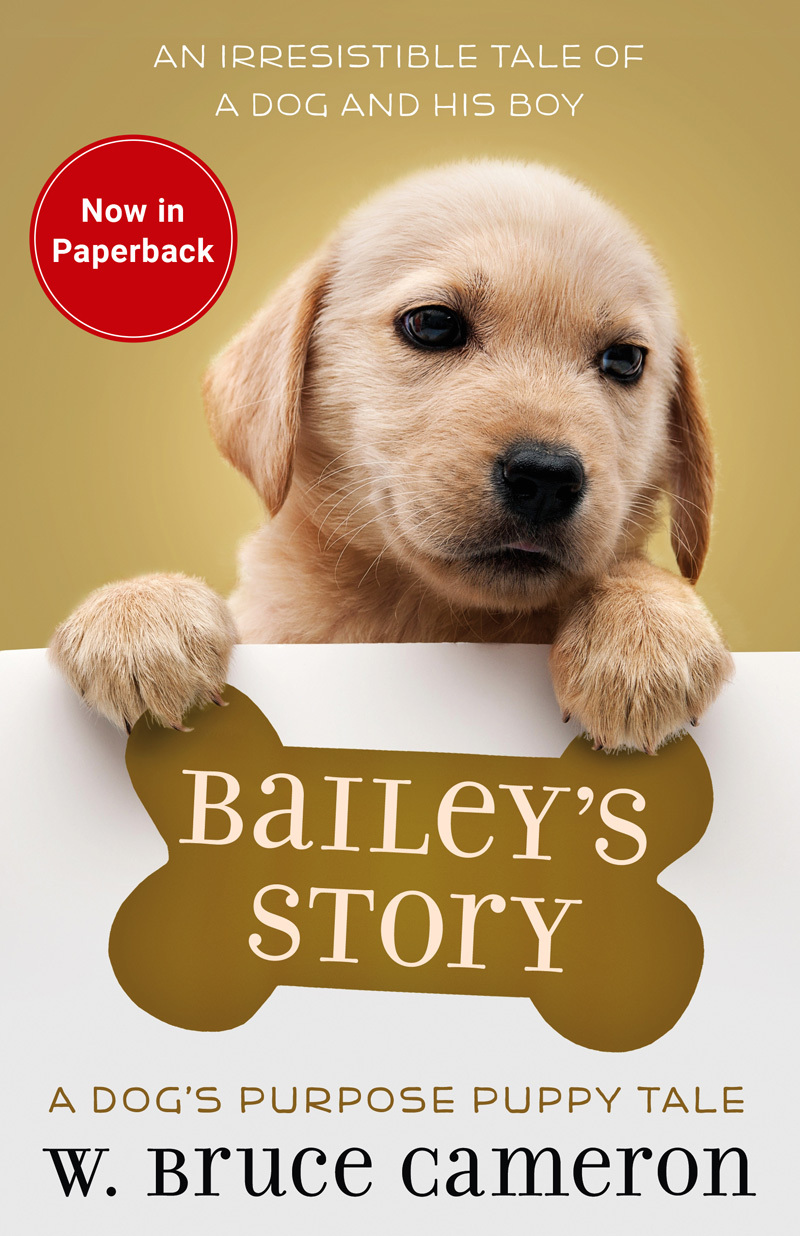 9780765388414_FC_paperback 9780765388414_FC_paperback