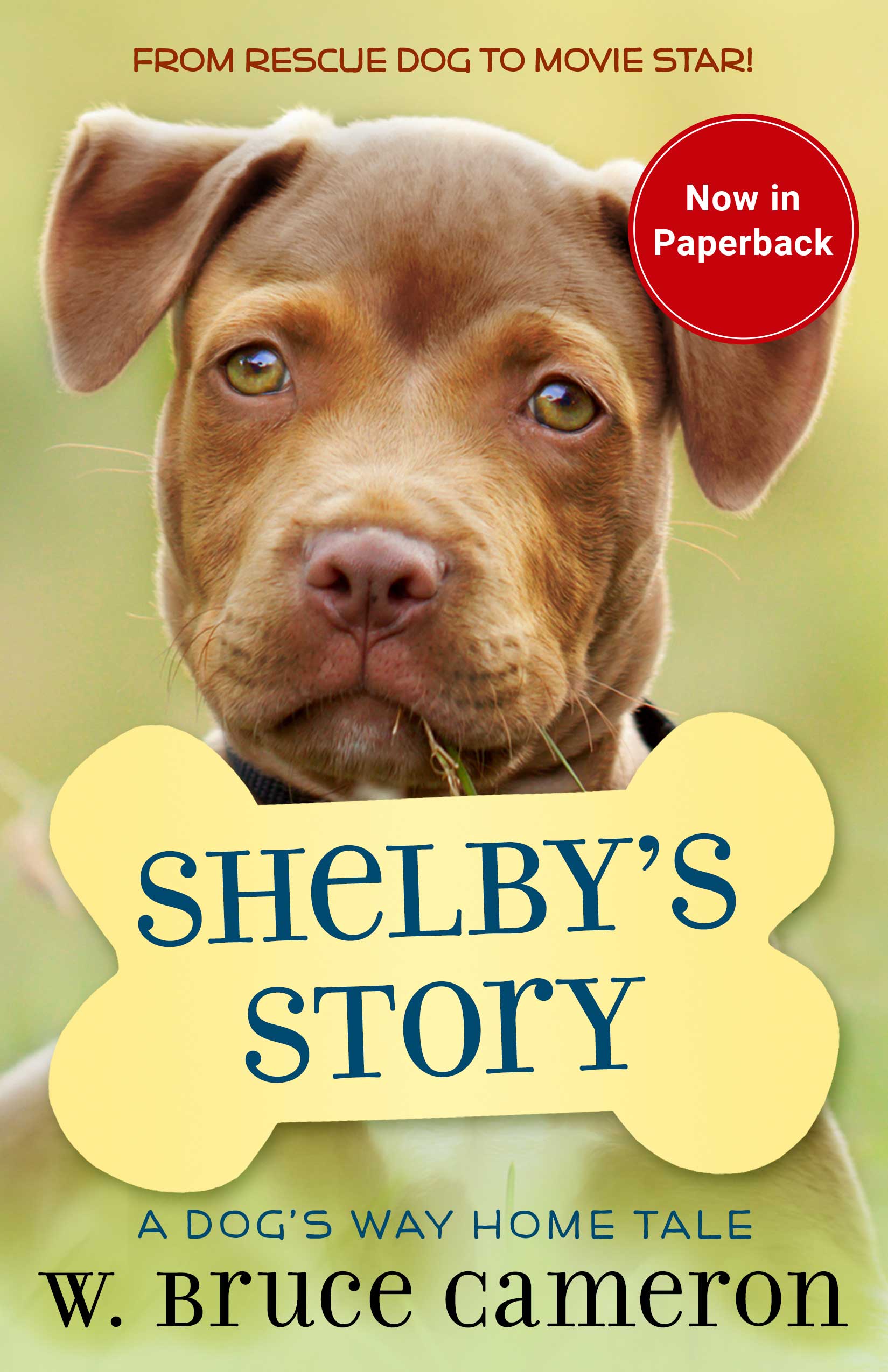 Shelby-Paperback