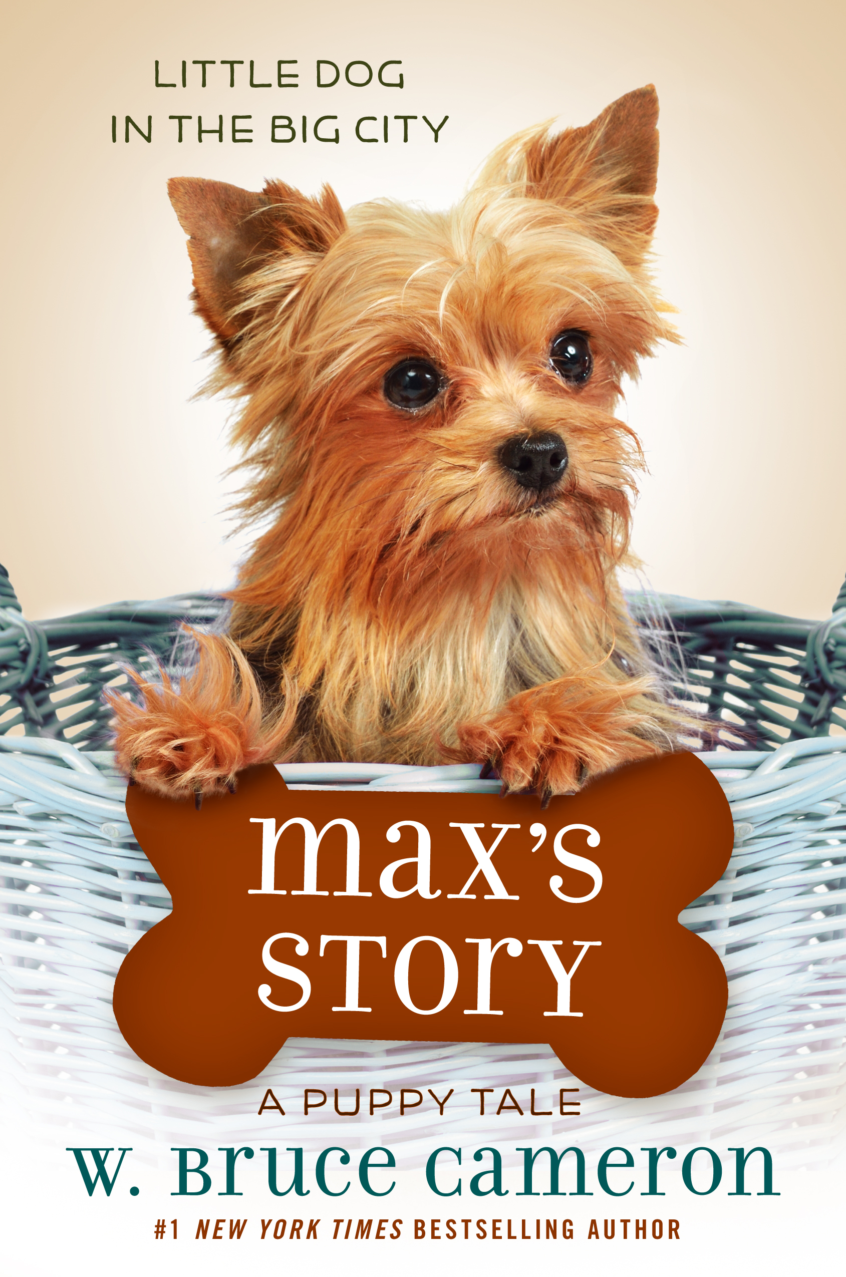 MaxsStory MaxsStory